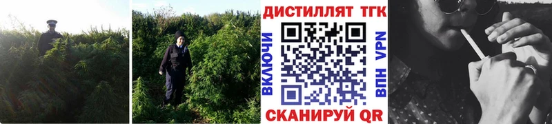 ТГК THC oil  Евпатория 