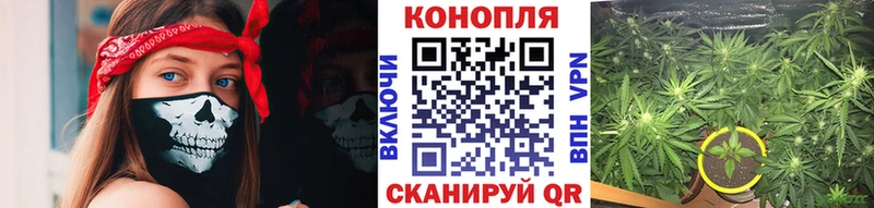 МАРИХУАНА ГИДРОПОН  Евпатория 
