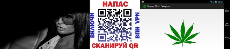 Конопля сатива Евпатория